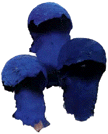 Blue Helmets, 1996